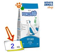 Forza10 Chiens Entretien Chiot Junior Petit/Moyen Poisson Croquettes 2 Kg