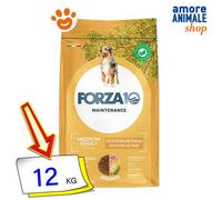 Forza10 Croquettes Chiens Adult Medium Poulet et Patates 12 Kg