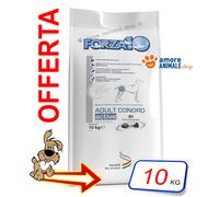 Forza10 Dog ACTIVE → Croquettes Pour Chien Adultes, 10 kg, Sec, Poisson