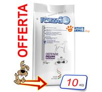 FORZA10 Dog ACTIVE Defense - 10 kg Aliment Sec Pour Chien Adult Poisson