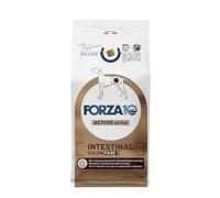 FORZA10 Dog Active Intestinal Colon Phase 1 | Agneau et Sorgo | Aliment diététique pour sensibilité intestinale | Nourriture sèche pour chiens | Sac de 10 kg