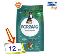 Forza10 Dog Maintenance Maxi Adult Cerf et Patates Croquettes Chiens 12 Kg