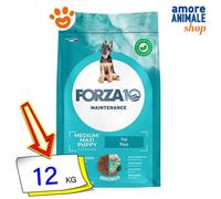 Forza10 Nourriture Sèche Pour Chiens Moyenne Maxi Chiot Au Poisson 12 Kg