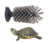FORZENA Brosse Tortue avec Ventouse pour Rayures de réservoir - Gommage du Dos et Nettoyage de la Coque pour Curseur à Oreilles Rouges - Exfolie et élimine Les Scutes (Gris)