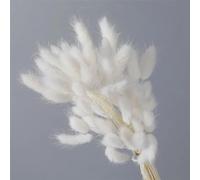 FOSANGPUSHI Fleurs séchées,100 pièces 40 cm Fleurs séchées Naturelles Blanc Gris Fleurs Vraie Queue de Lapin Herbe Bouquet Fleur Arrangement de Mariage Maison Salon décor Blanc, Dried Flowers F648
