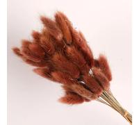 FOSANGPUSHI Fleurs séchées,100 pièces 45cm Naturel Lapin Queue Herbe Vraie Fleur séchée décor à la Maison Bouquet coloré Mariage Arrangement Floral Marron, Dried Flowers F8