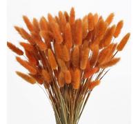 FOSANGPUSHI Fleurs séchées,120 pièces 43 cm Fleur séchée Queue de Lapin Boho décor Naturel Queue de Lapin Herbe décor Artificiel pour Mariage décoration de la Maison Style 3