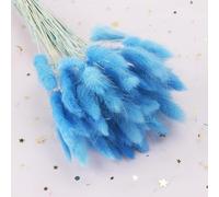 FOSANGPUSHI Fleurs séchées,30Pcs 45cm Nature Lapin Queue De Lapin Herbe Bouquet De Fleurs Séchées Décor De Fête De Mariage Moelleux Pampas Arrangement Floral De Noël Bleu Ciel