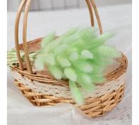 FOSANGPUSHI Fleurs séchées,50 pièces 45 cm Pelucheux Queue de Lapin Herbe Fleurs séchées Bouquet Mariage décor de noël Naturel Pampas Boho Maison Automne décoration Vert Clair