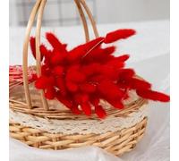 FOSANGPUSHI Fleurs séchées,Bouquet de Fleurs séchées en Queue de Lapin Naturel, 80 pièces, 45cm, décor de fête de Mariage, Pampas moelleuses, Arrangement Floral de noël Rouge