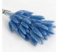 FOSANGPUSHI Fleurs séchées de queues de Lapin,30Pcs 45cm Nature Lapin Queue De Lapin Herbe Bouquet De Fleurs Séchées Décor De Fête De Mariage Moelleux Pampas Arrangement Floral De Noël Bleu Lac