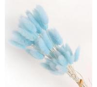 FOSANGPUSHI Fleurs séchées de queues de Lapin,60 pièces 45 cm queues de Lapin Fleurs séchées pour la Maison Vase décoration Naturel Sec Pampas Queue de Lapin Herbe Arrangement de Mariage Bleu Clair