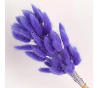 FOSANGPUSHI Fleurs séchées de queues de Lapin,60 pièces 45 cm queues de Lapin Fleurs séchées pour la Maison Vase décoration Naturel Sec Pampas Queue de Lapin Herbe Arrangement de Mariage Violet Clair