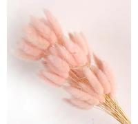 FOSANGPUSHI Fleurs séchées de queues de Lapin,60 pièces 45 cm queues de Lapin Fleurs séchées pour la Maison Vase décoration Naturel Sec Pampas Queue de Lapin Herbe Arrangement de Mariage Rose Clair