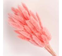 FOSANGPUSHI Fleurs séchées de queues de Lapin,60 pièces 45 cm queues de Lapin Fleurs séchées pour la Maison Vase décoration Naturel Sec Pampas Queue de Lapin Herbe Arrangement de Mariage Rose foncé