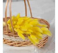 FOSANGPUSHI Fleurs séchées de queues de Lapin,80Pcs 45cm Nature Lapin Queue De Lapin Herbe Bouquet De Fleurs Séchées Décor De Fête De Mariage Moelleux Pampas Arrangement Floral De Noël Jaune
