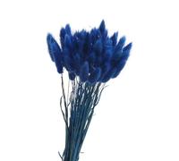 FOSANGPUSHI Fleurs séchées,Queue de Lapin Naturelle, 50 pièces, 45cm, Herbe, Fleurs séchées colorées, Bouquets de queues de Lapin, Accessoire Photo, décoration de Mariage à Domicile, Bleu