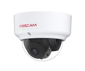 Foscam outdoor D2EP Caméra IP PoE Extérieur HD 2MP 1080p Infrarouge 20m Anti-tivandalique IK10 Détection Humaine Intelligente Compatible avec Amazon Alexa