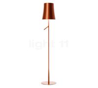 Foscarini Birdie Terra LED cuivre Ce luminaire comporte des modules à LED prémontés de classes énergétiques A A++, A+, A