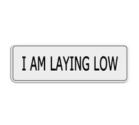FOSHIN Panneau mural en acrylique épais avec inscription « I Am Laying Low » - 25,4 x 7,6 cm - Design moderne - Facile à installer