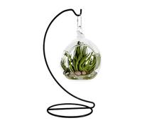 Fosinz Support de présentation en fer de 22,9 cm pour décoration de Noël, mariage, maison, bureau, jardin (noir)