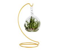 Fosinz Support d'exposition d'ornement de 22,9 cm, support de suspension en fer, porte-support pour suspendre des boules de verre, plantes aériennes, terrarium pour Noël, mariage, maison, bureau