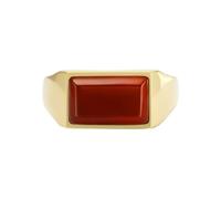 Fossil Bague pour homme, Signet en acier inoxydable de couleur argentée ou dorée