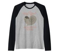 Fossil Finds Collection Ammonite Dent de Requin Cadeau Préhistoire Manche Raglan