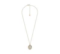Fossil Jewelry