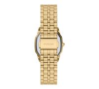 Fossil - Watches - Femme - Accessoires - Vert - Taille: ONE Size