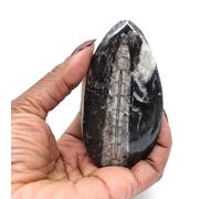 Fossile d’orthocéras du Maroc de 70 grammes et 90 millimètres, Minéral Orthocéras du Maroc, Pierre Authentique, Pierre Exclusive, Objet d'art minéral, Minéral de vitalité