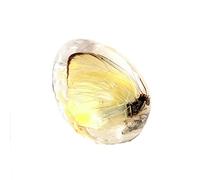 Fossile d'ambre avec insectes échantillons de pierres spécimens de cristal spécimen d'insecte pendentif d'ambre pendentif de bijoux de bricolage (Transparent-Papillon)