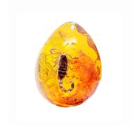 Fossile d'ambre avec insectes échantillons de pierres spécimens de cristal spécimen d'insecte pendentif d'ambre pendentif de bijoux de bricolage (Ambre-Scorpion)