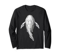 Fossile de Bothriolepis - Art Poisson Placoderme Dévonien Manche Longue