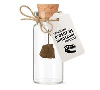 Fossile de dinosaure - Fragment de coquille d’œuf fossilisé authentique - Véritable vestige du crétacé, idée cadeau archéologue, paléontologue, collectionneur, cabinet de curiosité