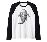 Fossile de Remigolepis - Art Poisson Placoderme Dévonien Manche Raglan