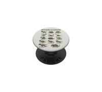 Fossile T-Rex de Dinosaure Vintage PopSockets PopGrip Adhésif