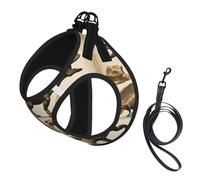 Fossiles de Dinosaures imprimés02 Harnais de Promenade Ajustable pour Chiots, Clips de Laisse, Harnais pour Animaux de Compagnie, Gilet de Dressage