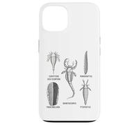 Fossiles de Silurie - Collection Ancienne Marine Life Coque pour iPhone 13