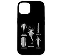 Fossiles de Silurie - Collection Ancienne Marine Life Coque pour iPhone 13