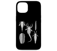Fossiles de Silurie - Collection Ancienne Marine Life Coque pour iPhone 13