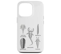 Fossiles de Silurie - Collection Ancienne Marine Life Coque pour iPhone 13 Pro