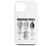 Fossiles Ordoviciens - Collection Ancienne Marine Life Coque pour iPhone 13