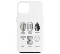 Fossiles Ordoviciens - Collection Ancienne Marine Life Coque pour iPhone 13