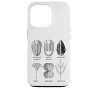 Fossiles Ordoviciens - Collection Ancienne Marine Life Coque pour iPhone 13 Pro