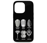 Fossiles Ordoviciens - Collection Ancienne Marine Life Coque pour iPhone 13 Pro