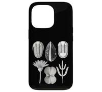 Fossiles Ordoviciens - Collection Ancienne Marine Life Coque pour iPhone 13 Pro