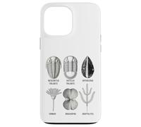Fossiles Ordoviciens - Collection Ancienne Marine Life Coque pour iPhone 13 Pro Max