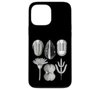 Fossiles Ordoviciens - Collection Ancienne Marine Life Coque pour iPhone 13 Pro Max