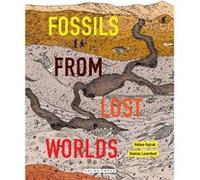 Fossils from Lost Worlds by Damien Laverdunt Damien Laverdunt (Auteur)